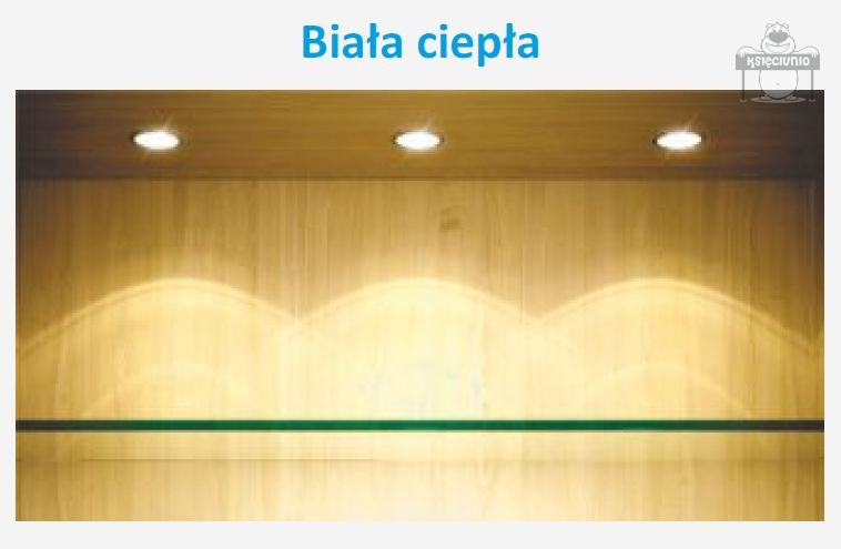 Taśma 600 led PREMIUM ip20 2835 5m ciepła Taśma 600 led PREMIUM ip20 2835 5m ciepła