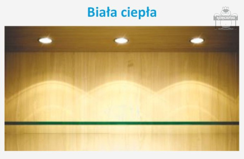 Taśma 600 led PREMIUM ip20 2835 5m ciepła Taśma 600 led PREMIUM ip20 2835 5m ciepła