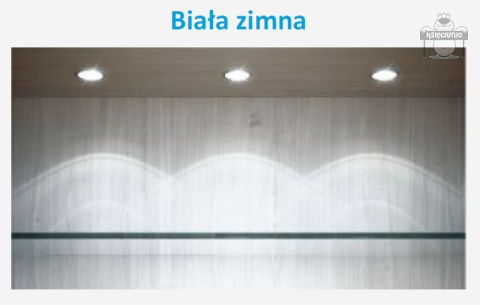 Taśma 600 led PREMIUM ip20 2835 5m zimna Taśma 600 led PREMIUM ip20 2835 5m zimna
