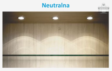 Taśma 600 led PREMIUM ip20 2835 5m neutralna Taśma 600 led PREMIUM ip20 2835 5m neutralna