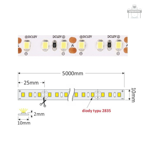 Taśma 600 led PREMIUM ip20 2835 5m zimna Taśma 600 led PREMIUM ip20 2835 5m zimna