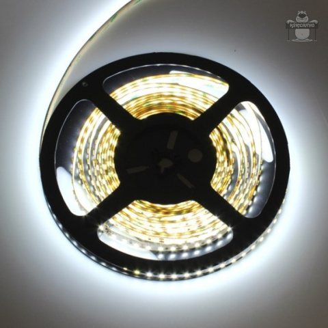 Taśma 600 led PREMIUM ip20 2835 5m zimna Taśma 600 led PREMIUM ip20 2835 5m zimna